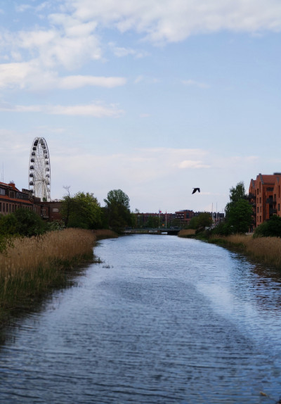 ნიკა ხუბუას ფოტოალბომი