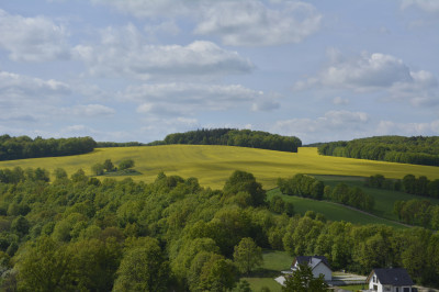 ნიკა ხუბუას ფოტოალბომი