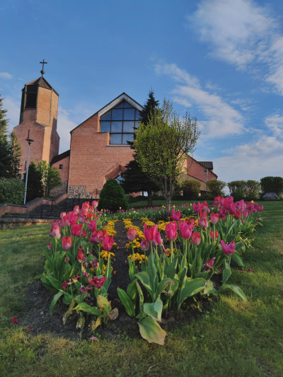 ნიკა ხუბუას ფოტოალბომი