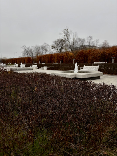 ელენე გიორგაძის ფოტოალბომი