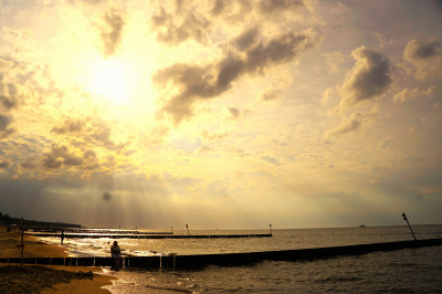 მარგარიტას ფოტო ალბომი