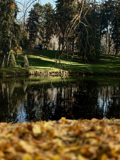 ელენე გიორგაძის ფოტოალბომი