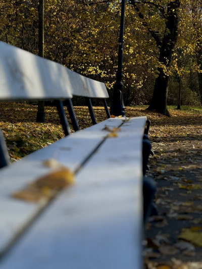 ელენე გიორგაძის ფოტოალბომი