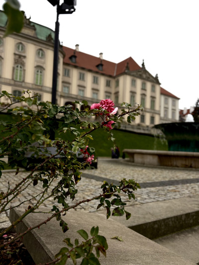 ელენე გიორგაძის ფოტოალბომი