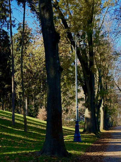 ელენე გიორგაძის ფოტოალბომი