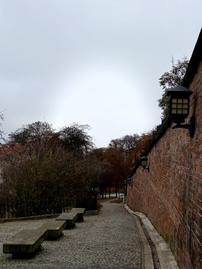 ელენე გიორგაძის ფოტოალბომი