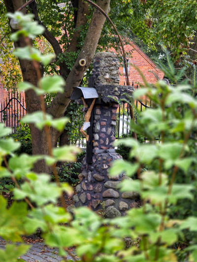 ნიკა ხუბუას ფოტოალბომი