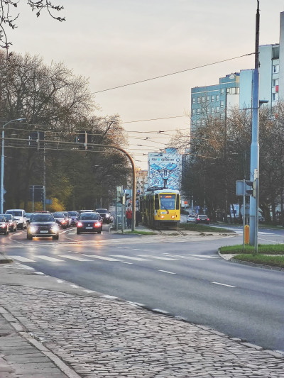 ნიკა ხუბუას ფოტოალბომი