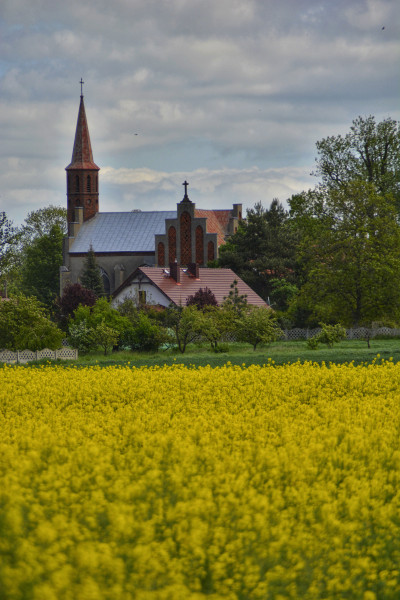 ნიკა ხუბუას ფოტოალბომი