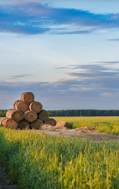 ნიკა ხუბუას ფოტოალბომი