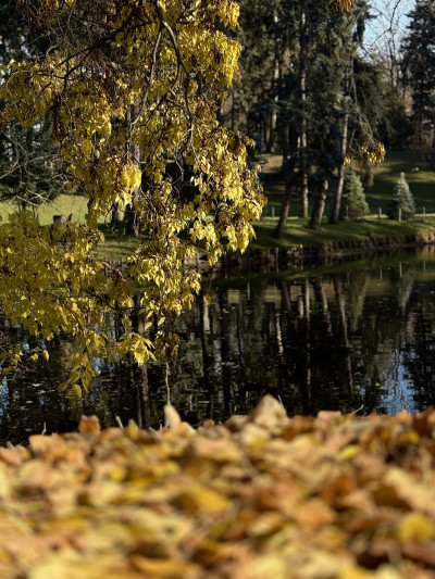 ელენე გიორგაძის ფოტოალბომი