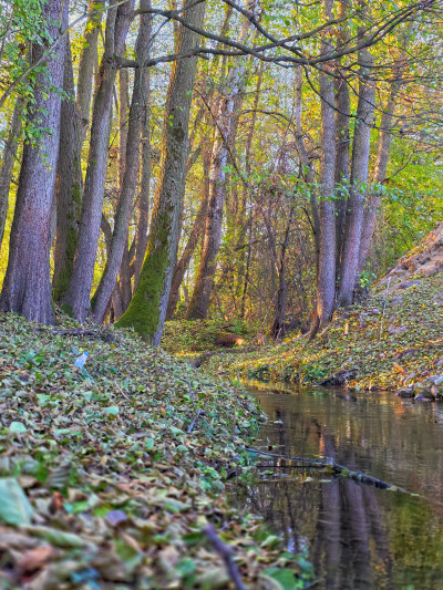 ნიკა ხუბუას ფოტოალბომი