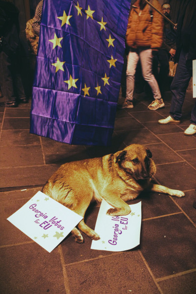 თბილისი - აქცია