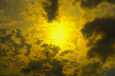 მარგარიტას ფოტო ალბომი