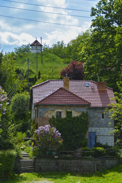 ნიკა ხუბუას ფოტოალბომი