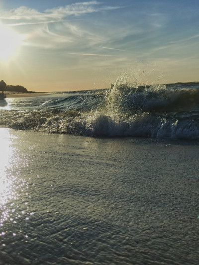 ნიკა ხუბუას ფოტოალბომი