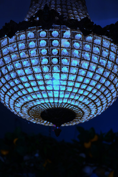 მარგარიტას ფოტო ალბომი