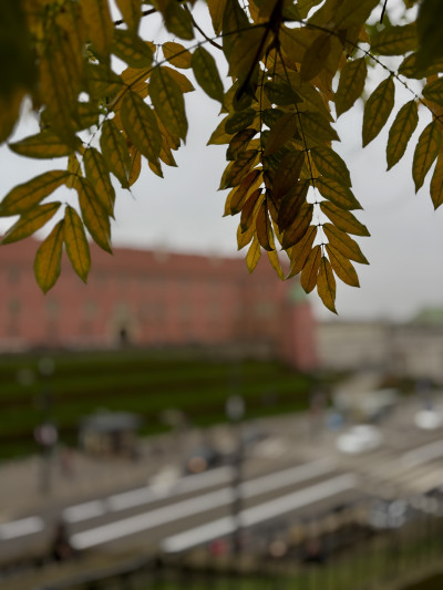 ელენე გიორგაძის ფოტოალბომი