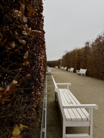 ელენე გიორგაძის ფოტოალბომი