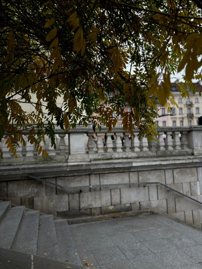 ელენე გიორგაძის ფოტოალბომი