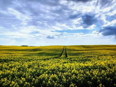 ნიკა ხუბუას ფოტოალბომი