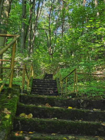 ნიკა ხუბუას ფოტოალბომი