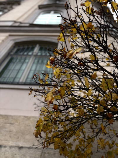 ელენე გიორგაძის ფოტოალბომი