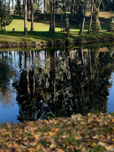 ელენე გიორგაძის ფოტოალბომი