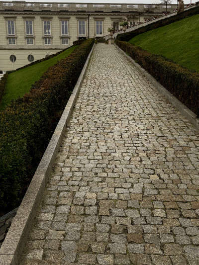 ელენე გიორგაძის ფოტოალბომი