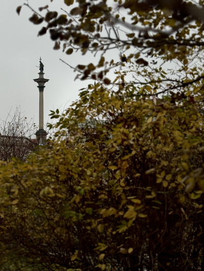 ელენე გიორგაძის ფოტოალბომი