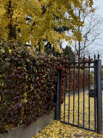 ელენე გიორგაძის ფოტოალბომი