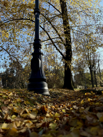 ელენე გიორგაძის ფოტოალბომი