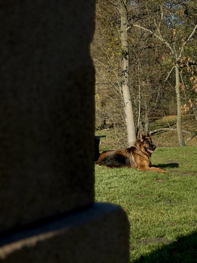 ელენე გიორგაძის ფოტოალბომი