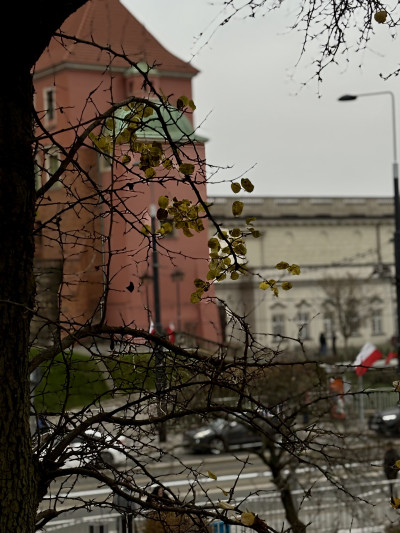 ელენე გიორგაძის ფოტოალბომი