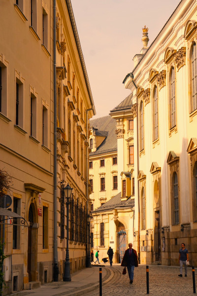 მარგარიტას ფოტო ალბომი