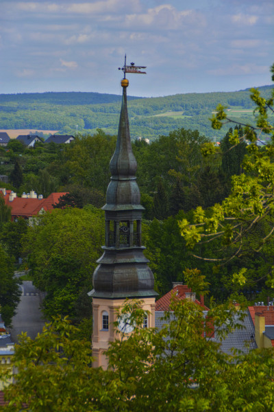 ნიკა ხუბუას ფოტოალბომი