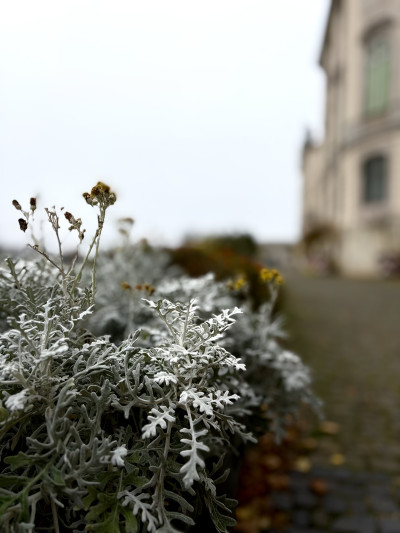 ელენე გიორგაძის ფოტოალბომი